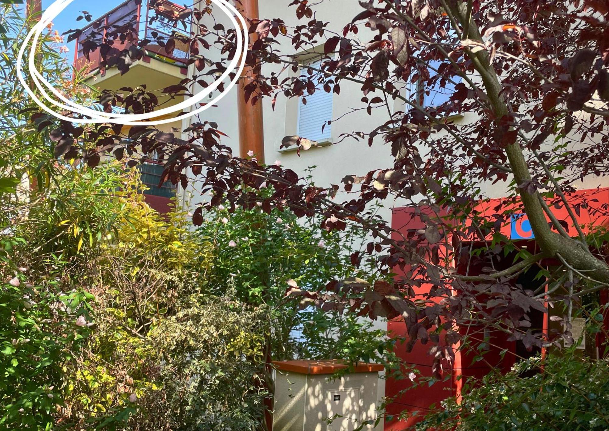 Le Jungle - Parking Et Wifi Gratuit - Balcon - Alexa Apartman Saint-Alban Kültér fotó